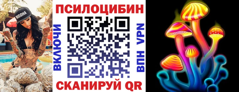 Галлюциногенные грибы мицелий наркошоп Тутаев